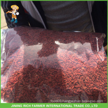 Ningxia Certified Dried Goji Berry 180grains/50g Supplier Rich Farmer